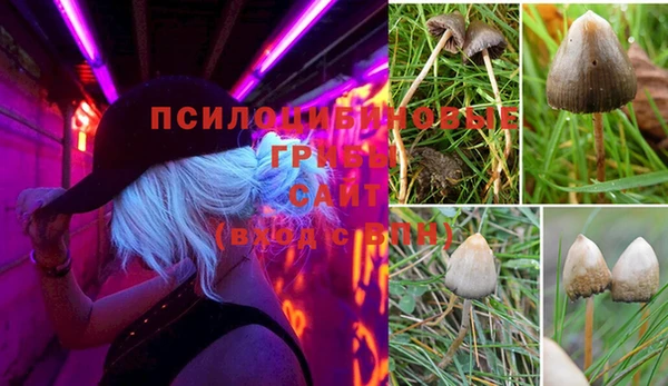 дживик Лиски